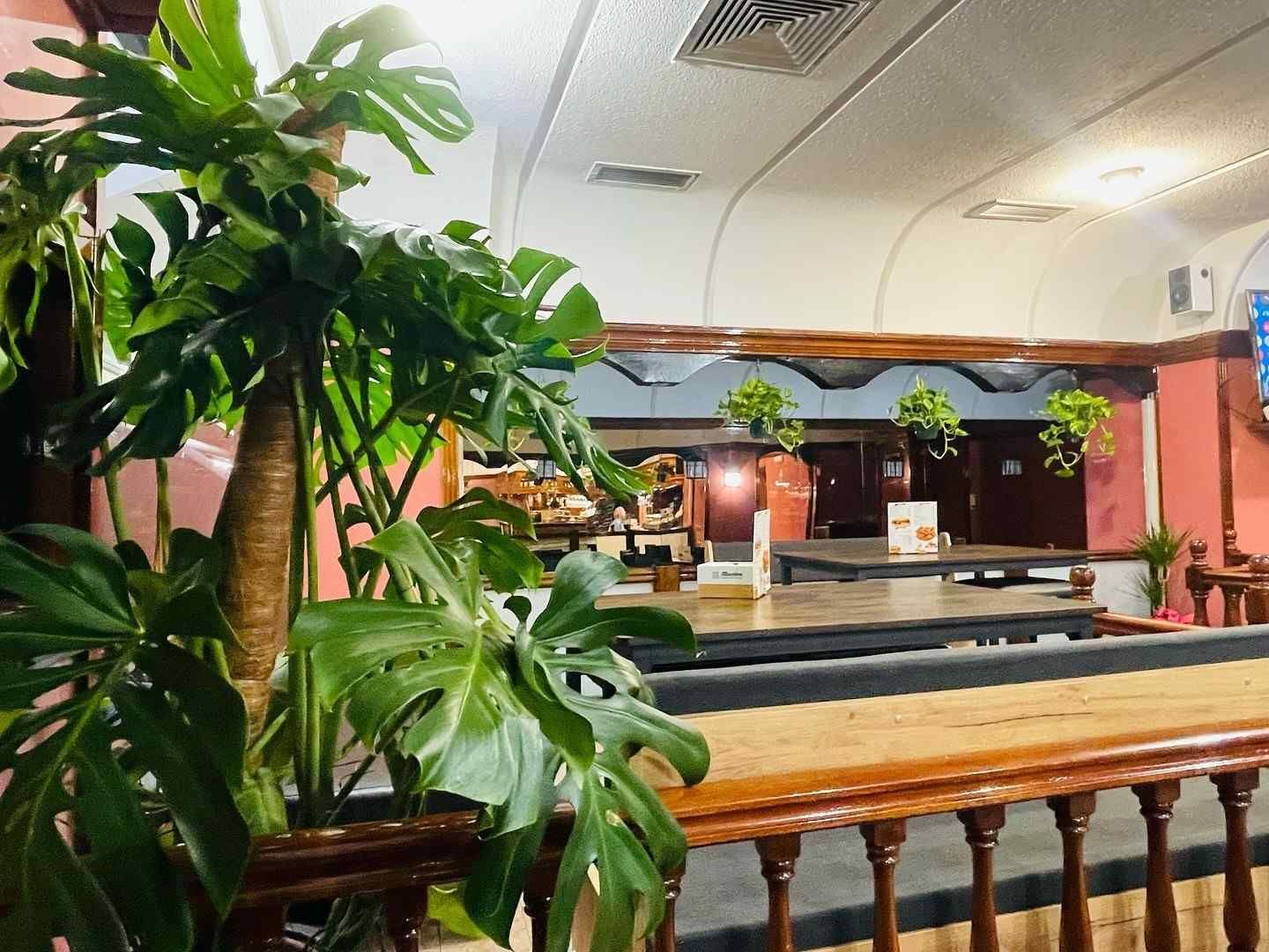 Una gran planta de monstera se encuentra en primer plano de un tranquilo restaurante interior con barandillas.
