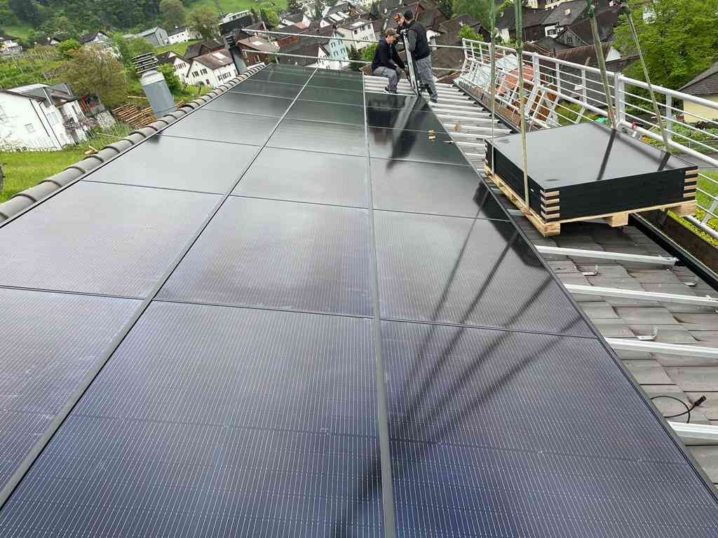 Horst Negele, Transportanstalt