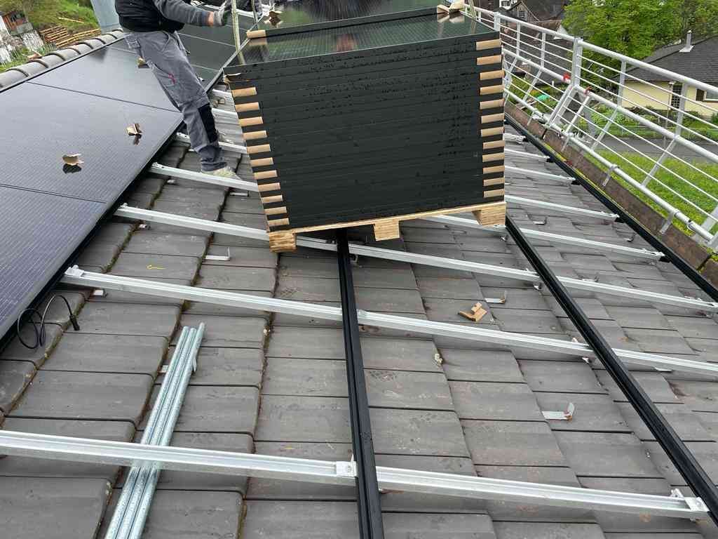 Horst Negele, Transportanstalt