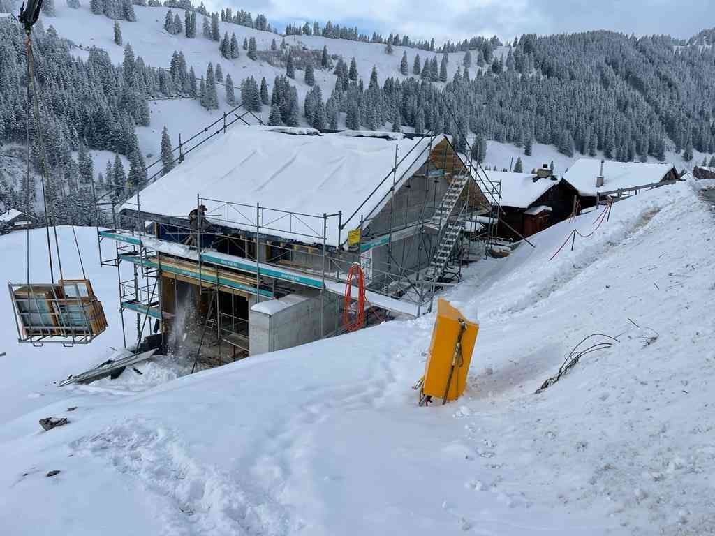 Horst Negele, Transportanstalt