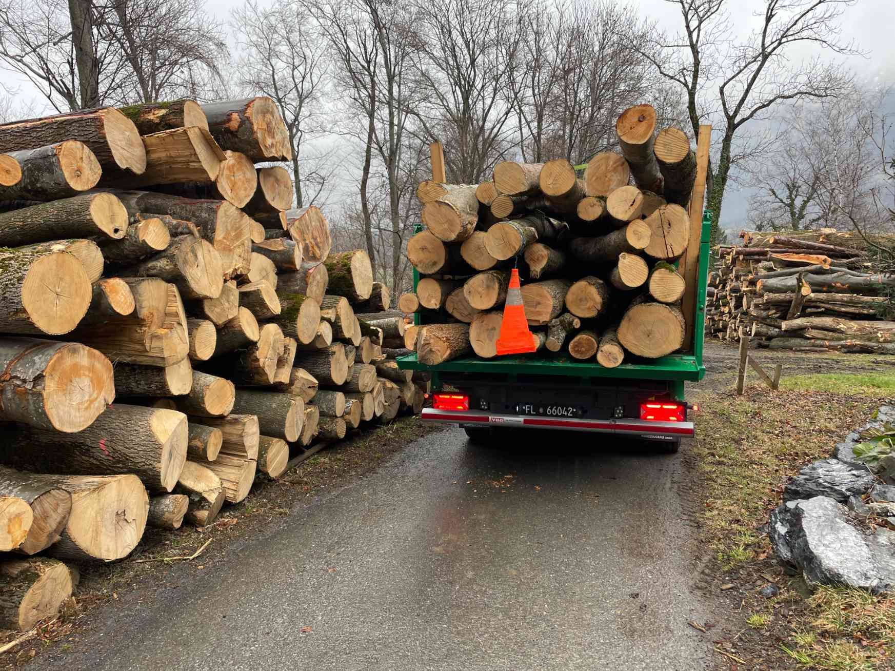 Horst Negele, Transportanstalt