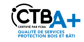 Logo CTBA+