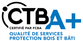 Logo CTBA+