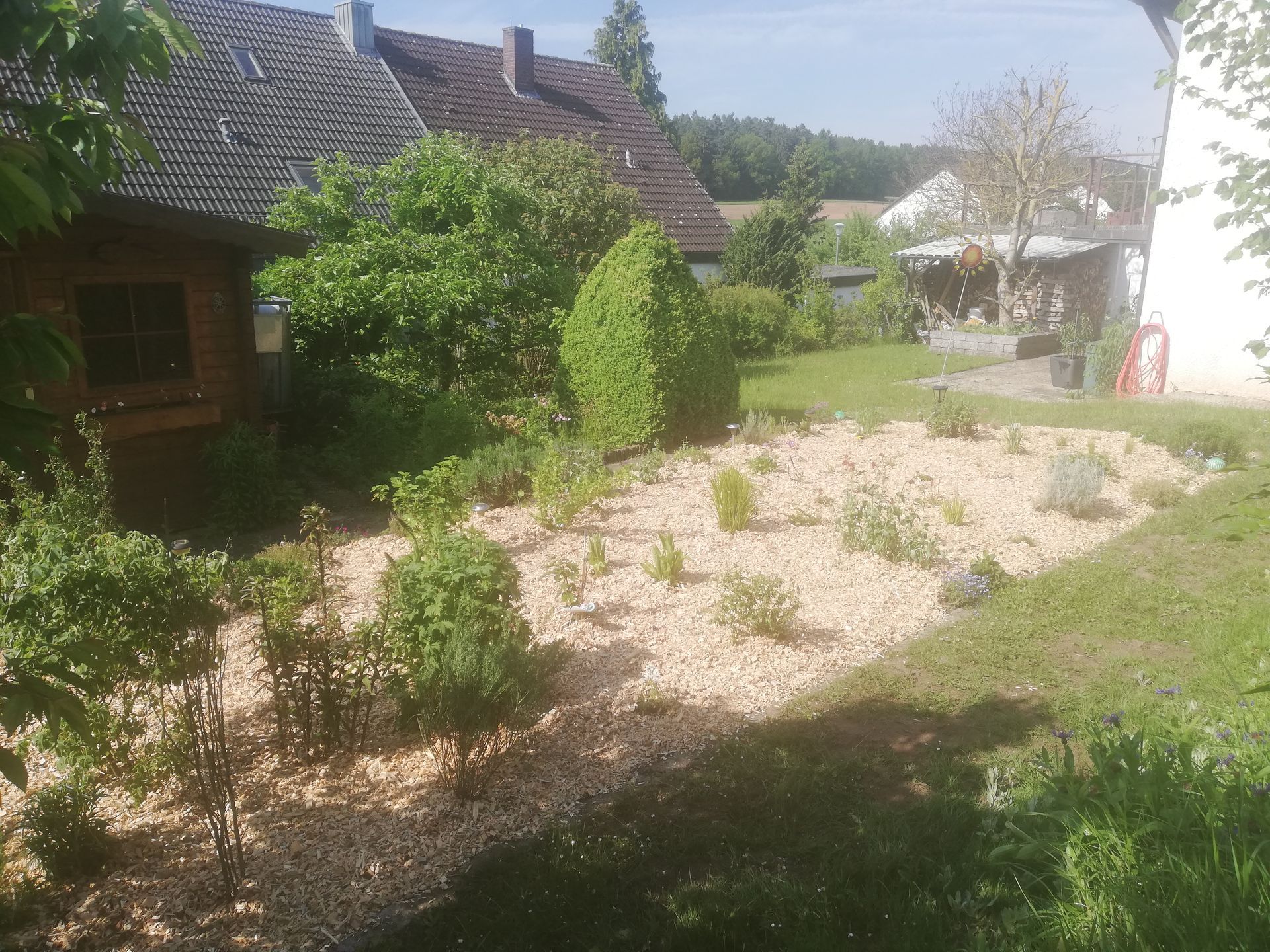 bepflanzter Steingarten