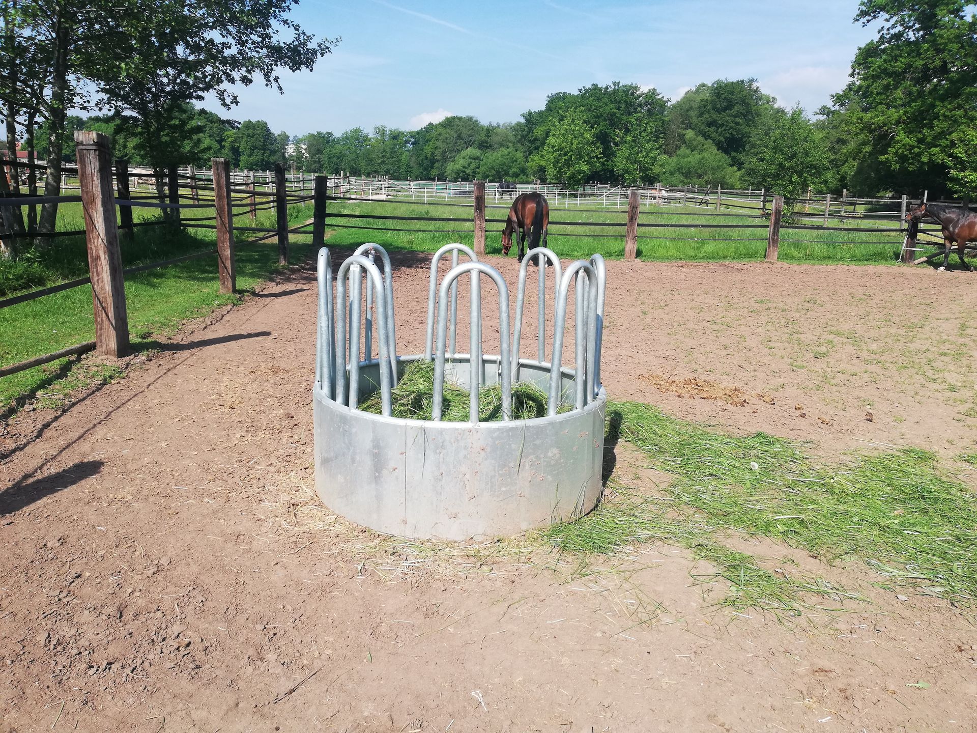 Futtertrog aus Stein und Metall steht auf einer Koppel