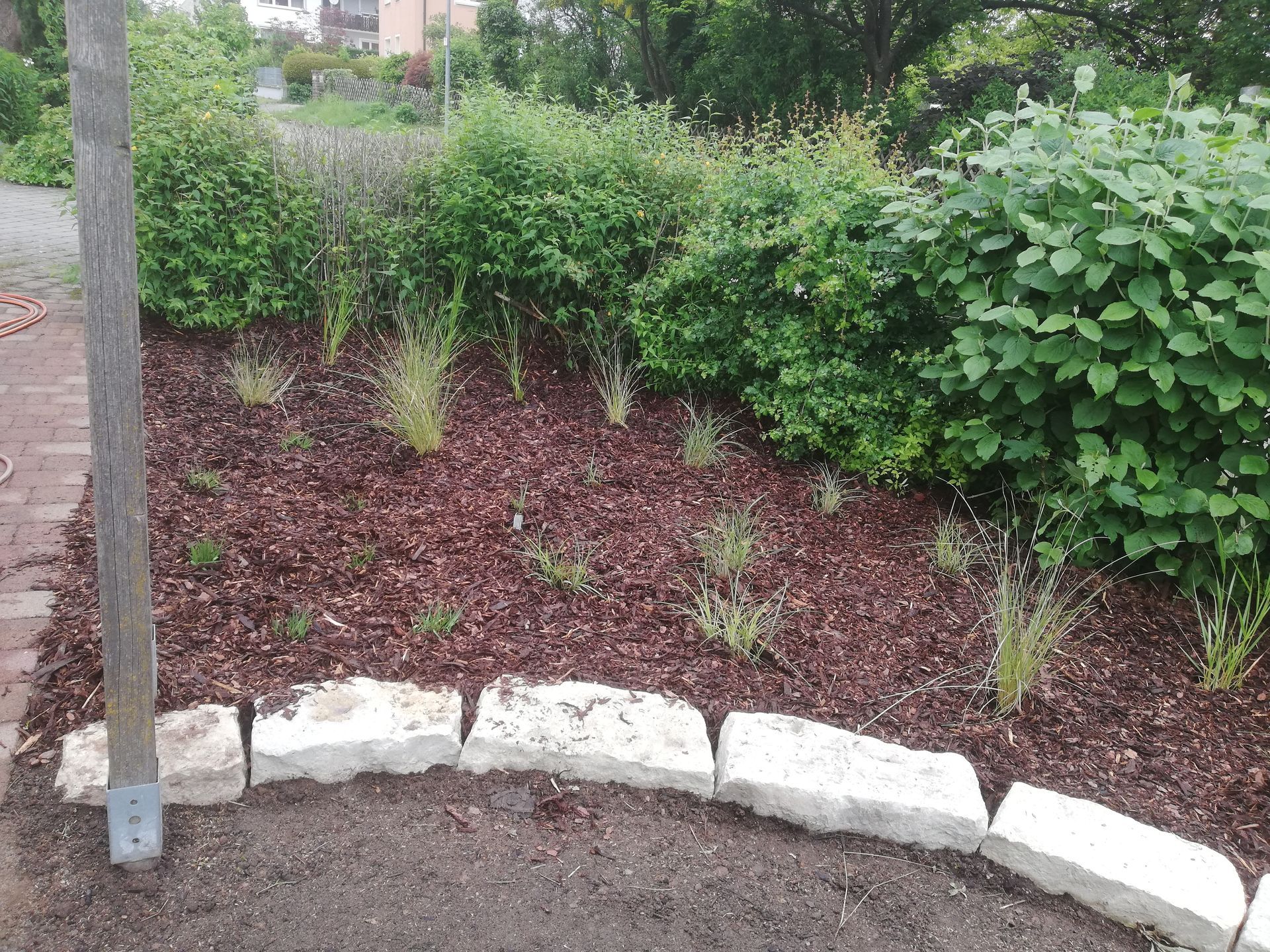 bepflanztes Beet mit verschiedenen Sträuchern