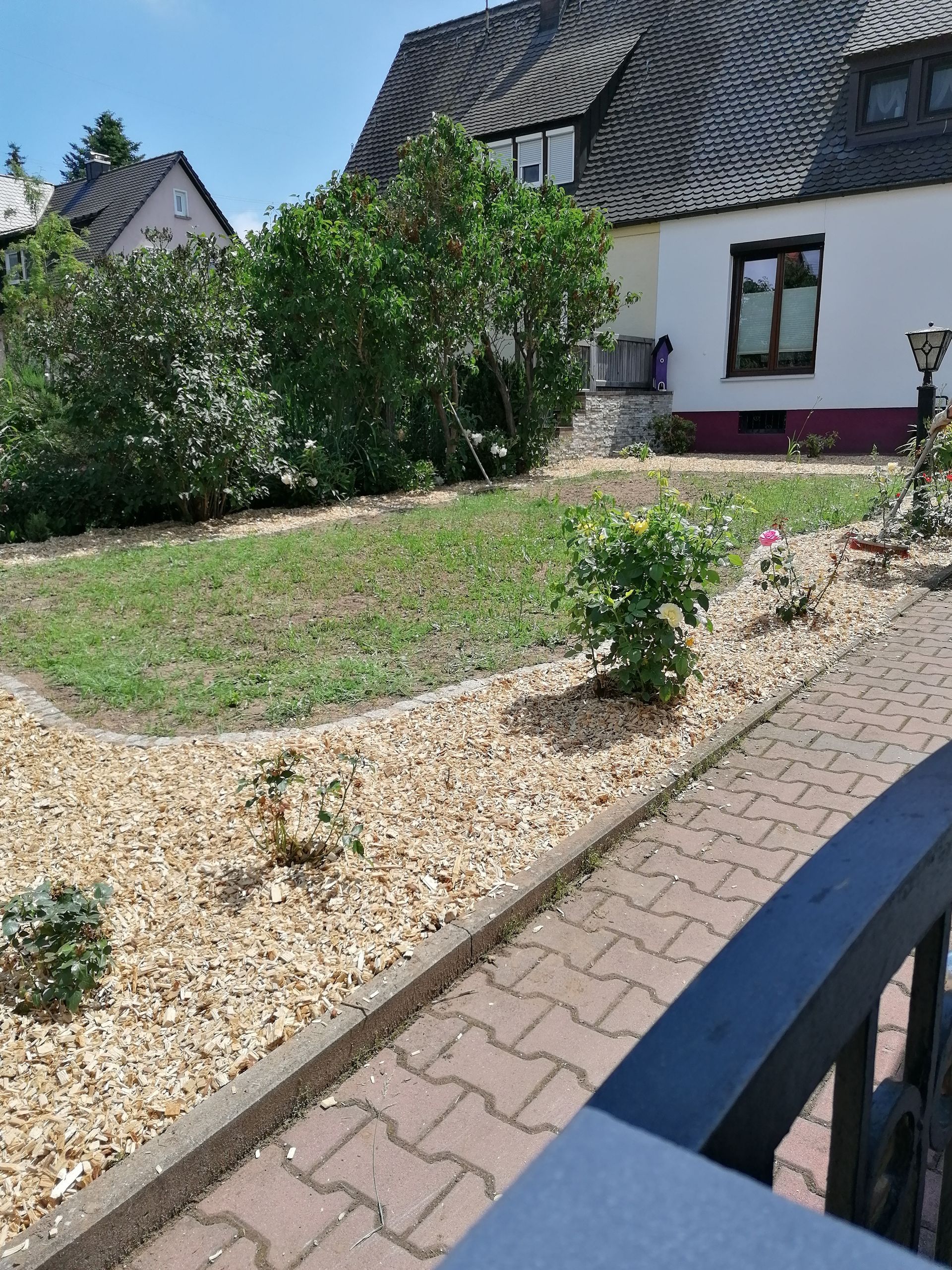 kleine Grünfläche umringt von Kies und Sträuchern