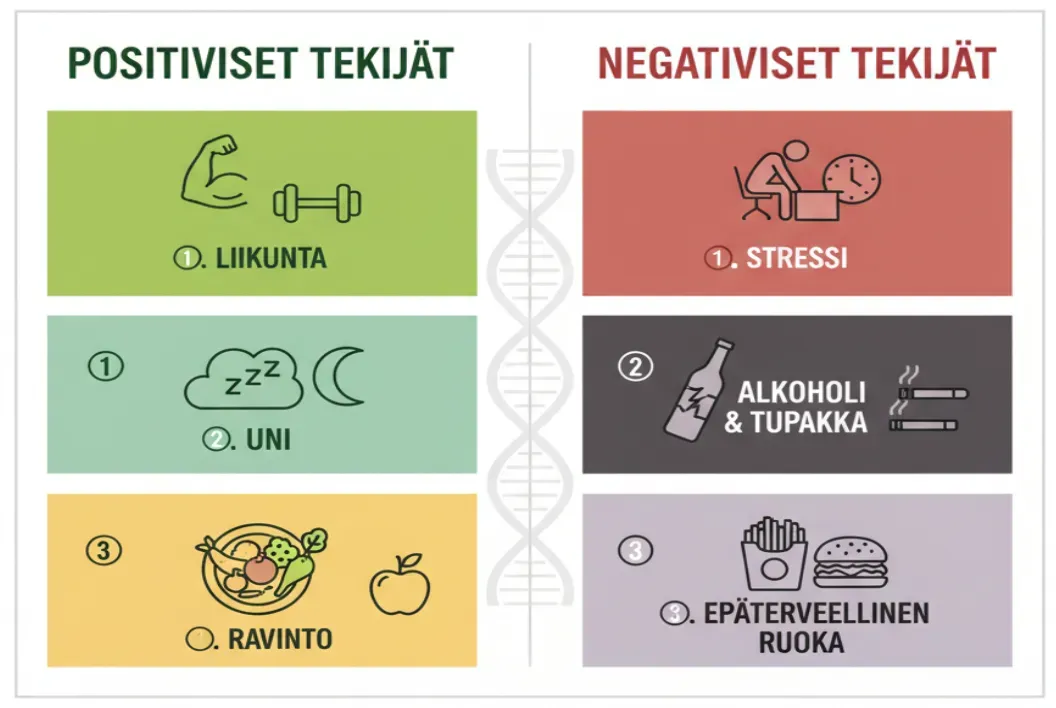 Infografiikka positiivisista ja negatiivisista tekijöistä: liikunta, uni, ruokavalio vs. stressi, alkoholi ja tupakka, epäsäännölliset ateriat.