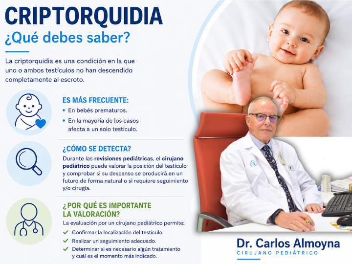 Criptorquidia