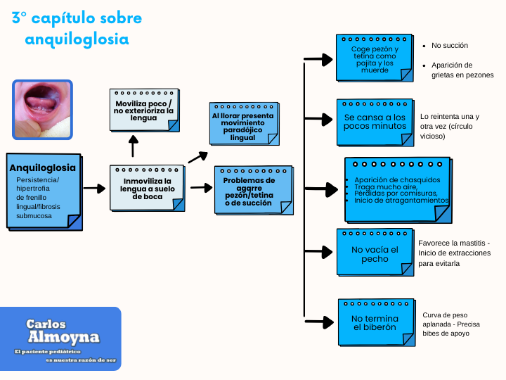 Spanish flowchart about ankyloglossia, with blue and white boxes and arrows linking treatment steps.
