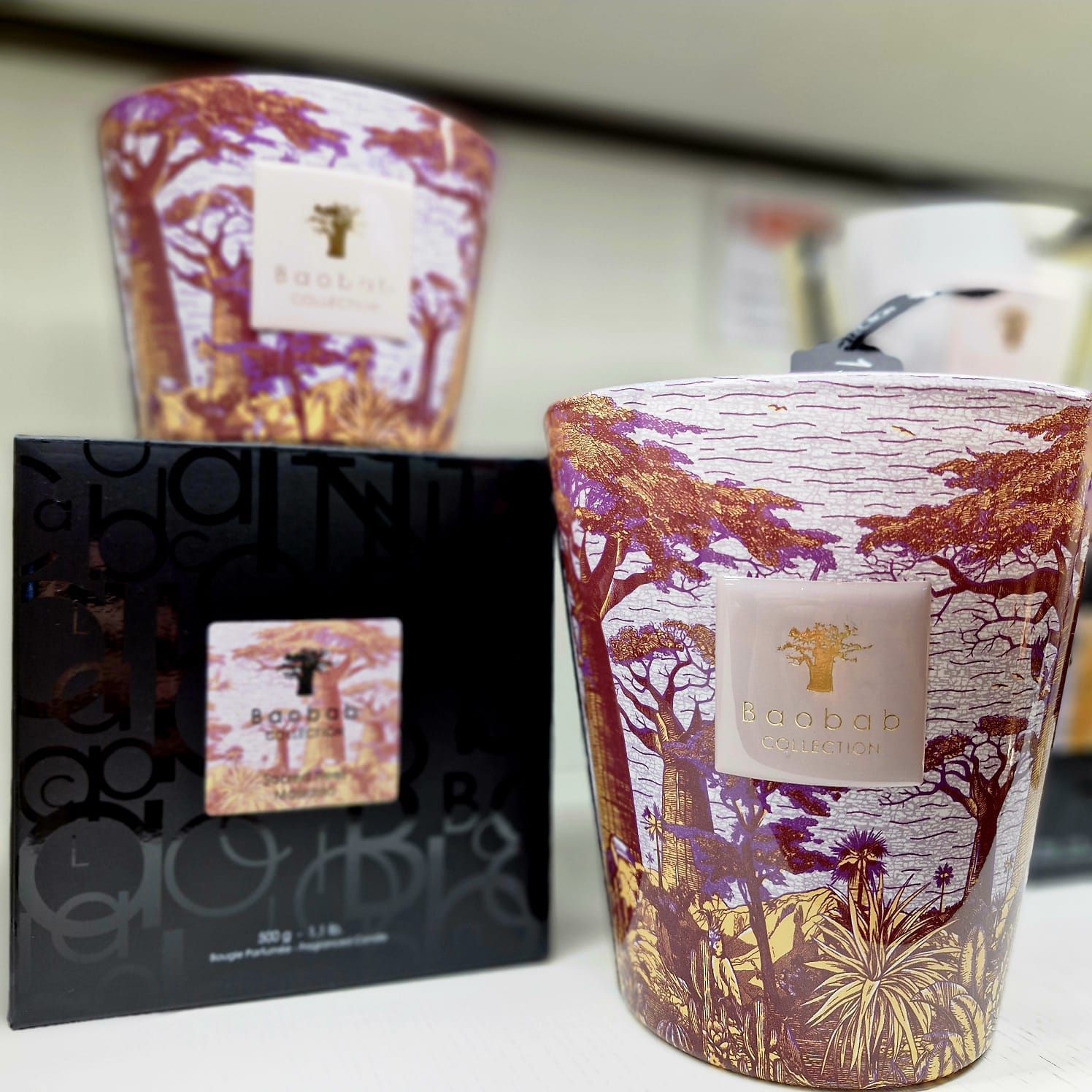 baobab lampe berger Valenciennes 