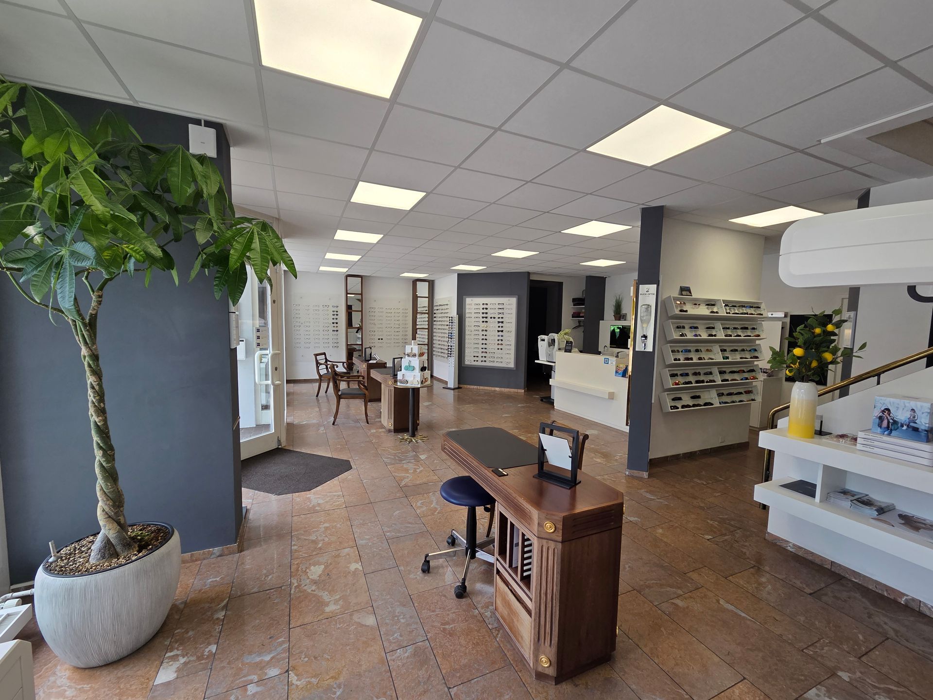 Innenansicht eines Brillengeschäfts mit Auslagen, einem Schreibtisch und einer Pflanze.