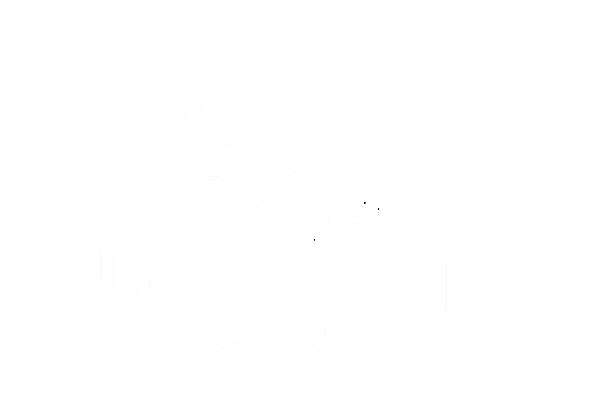 Logo Buck Optik AG