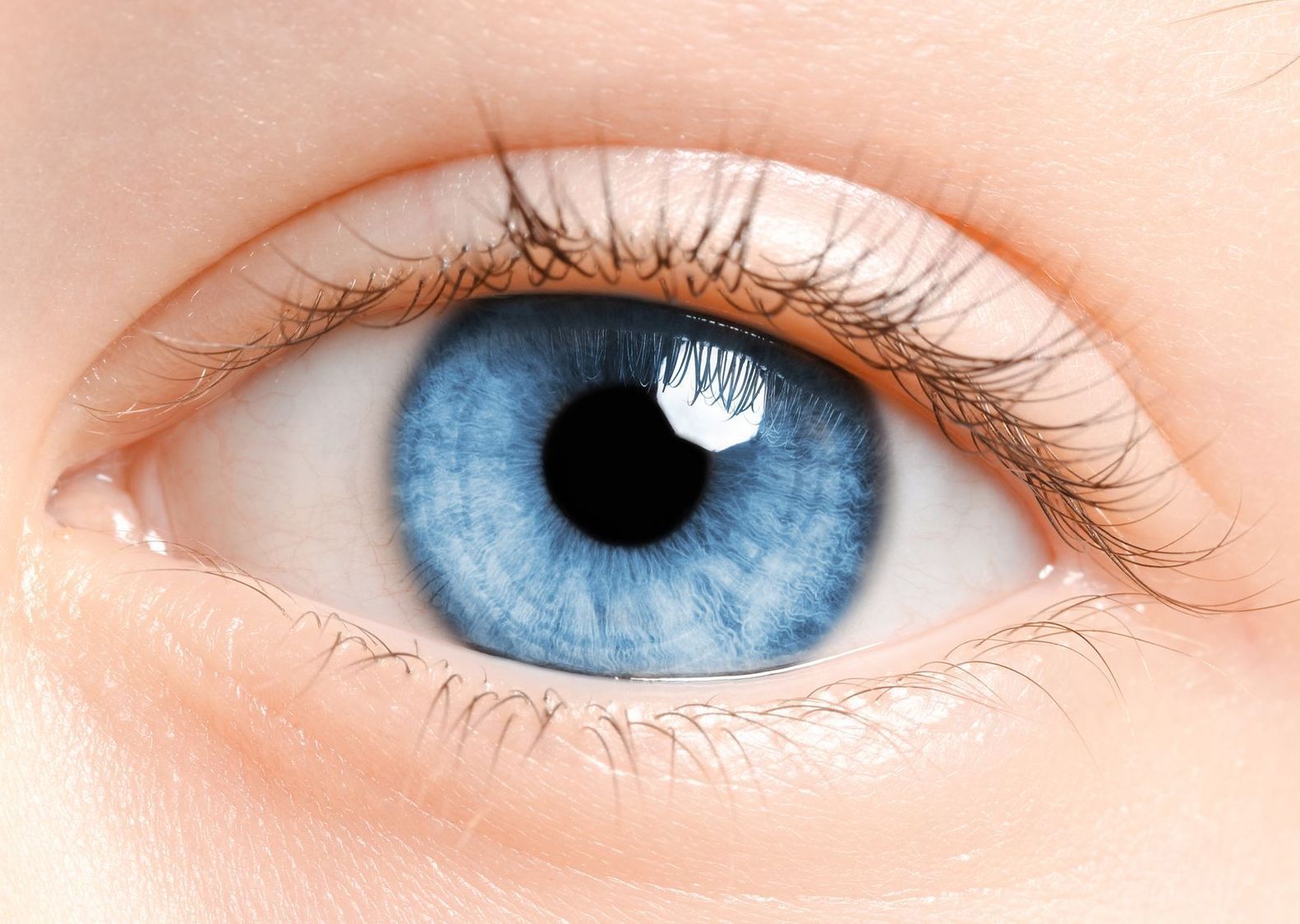 (Sonnen-)Brillen, Kontaktlinsen und mehr