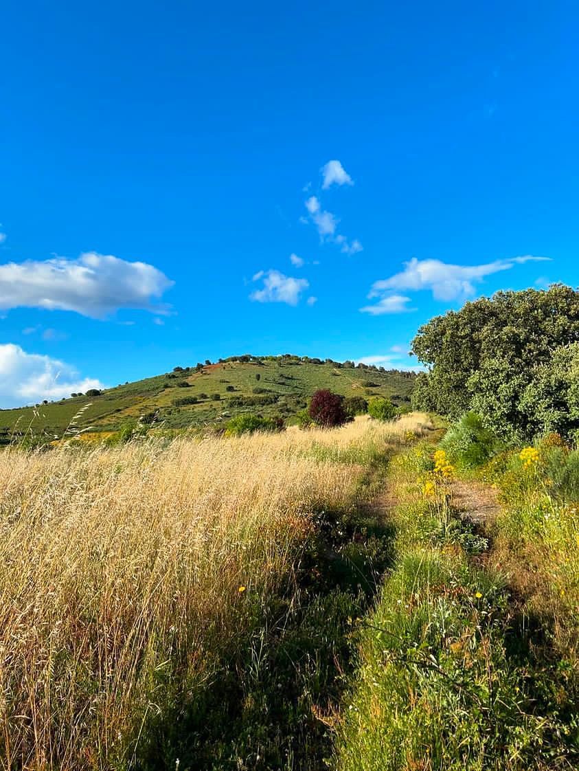 Paisagem Freixo de Espada à Cinta