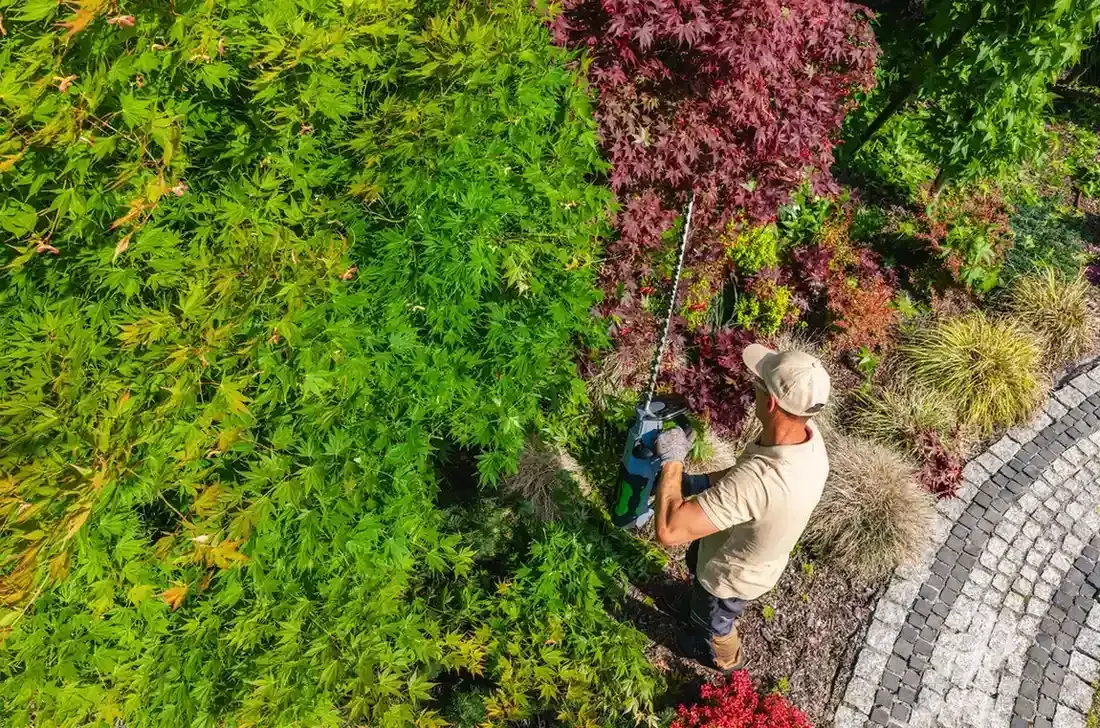 Icono de marcador de posición gris claro con un sol y montañas sobre fondo blanco