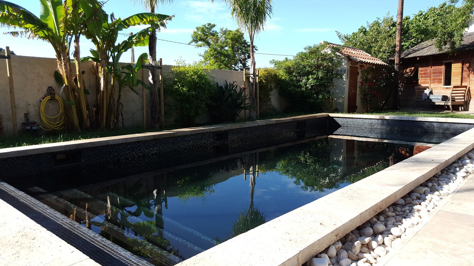 Piscine sombre avec palmier
