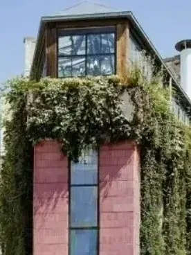 Surélévation d'un immeuble parisien à ossature en bois