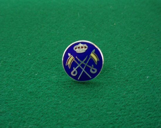 Un alfiler con una corona está sobre una superficie verde.