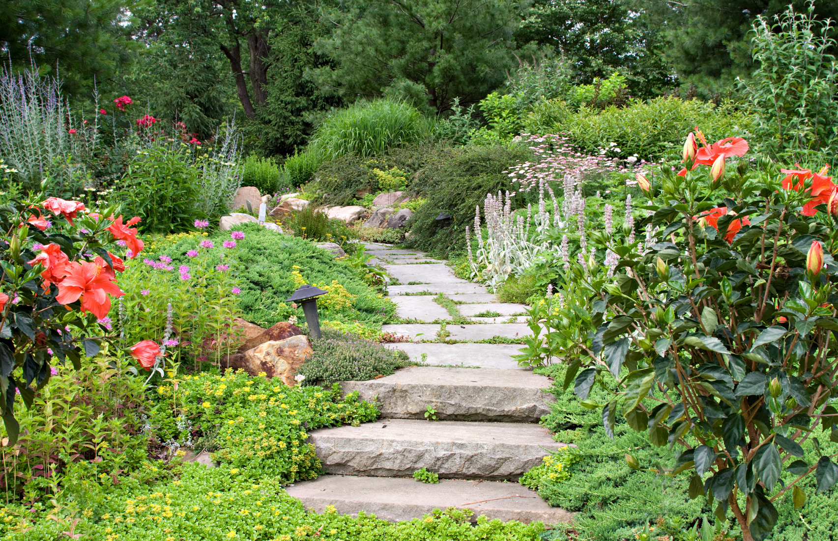 Un chemin de pierre dans un jardin entouré de fleurs et d'arbres