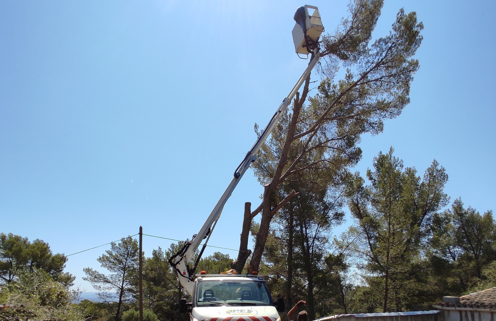 Un camion blanc avec une grue attachée coupe un arbre