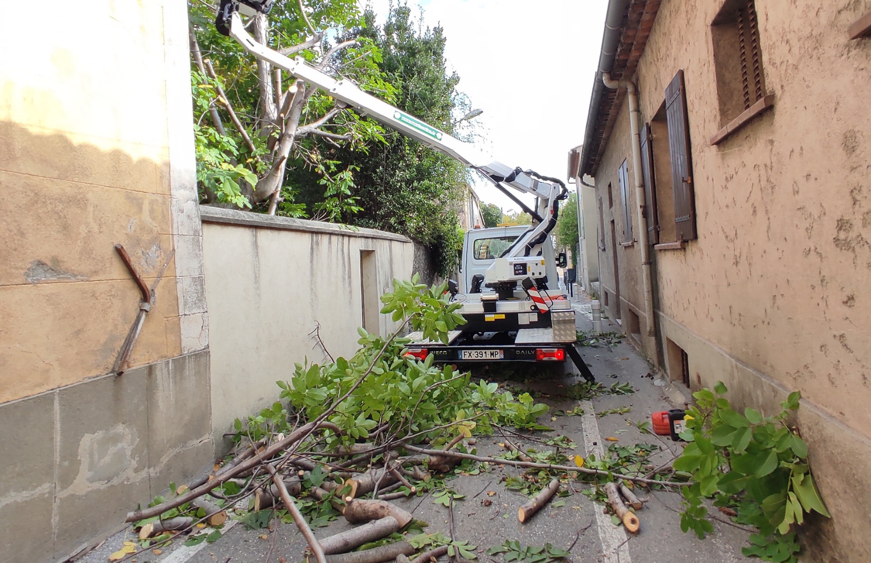 Un camion coupe un arbre dans une ruelle étroite.