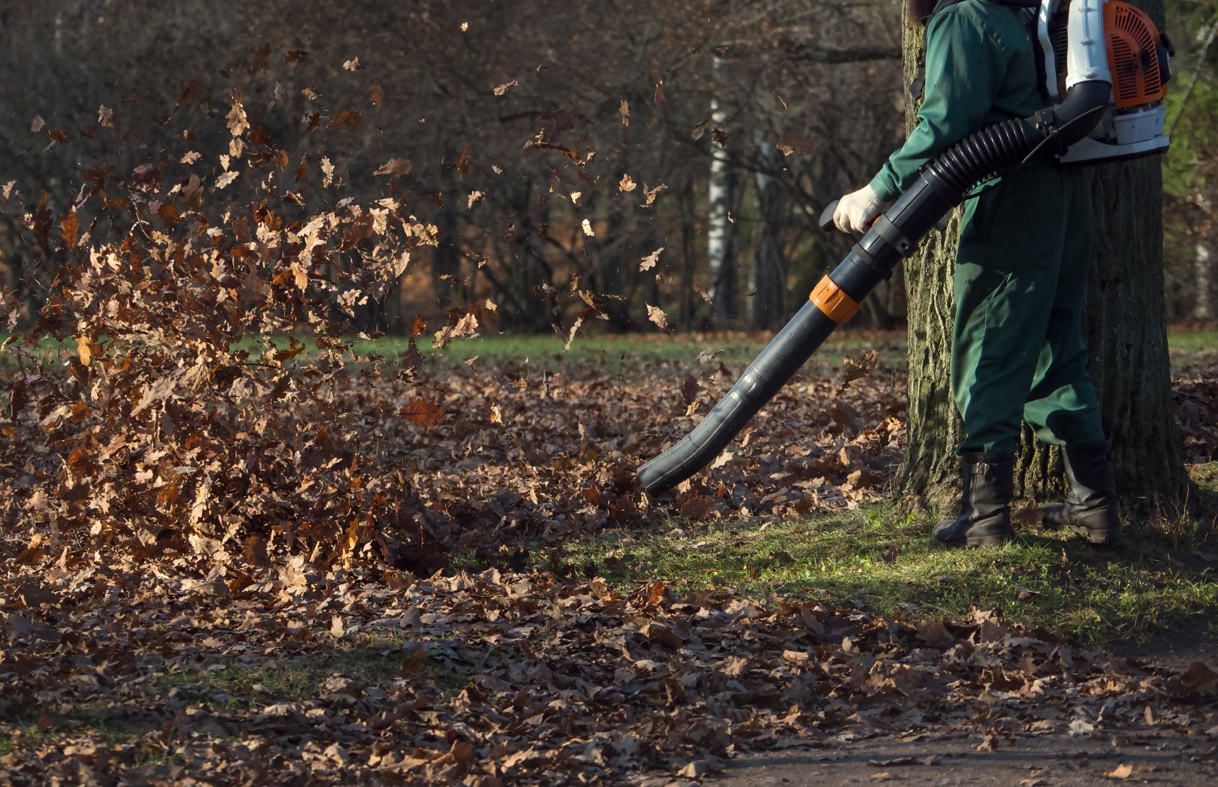Une personne souffle des feuilles dans un parc avec un souffleur