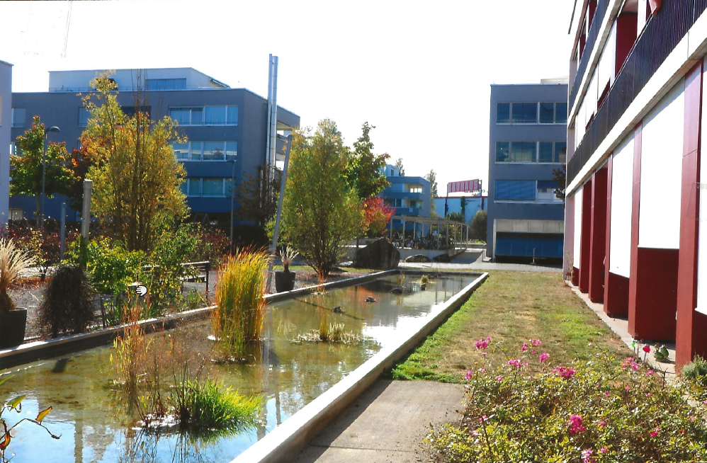 Wangenmatt Bern - ilex GmbH