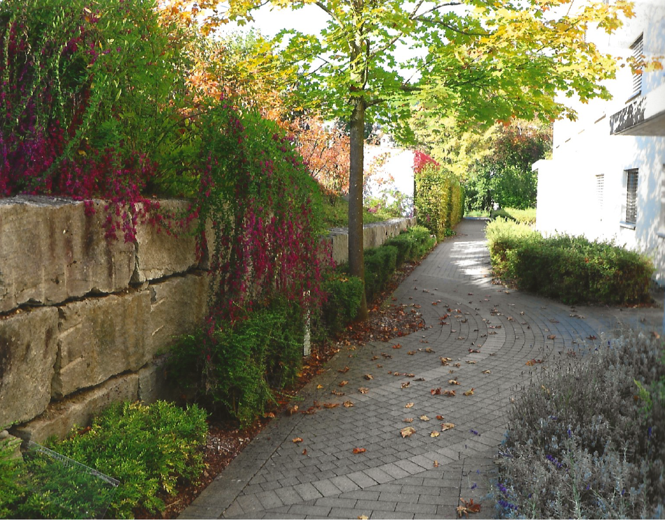 Residenz Roggenboden Baden - ilex GmbG