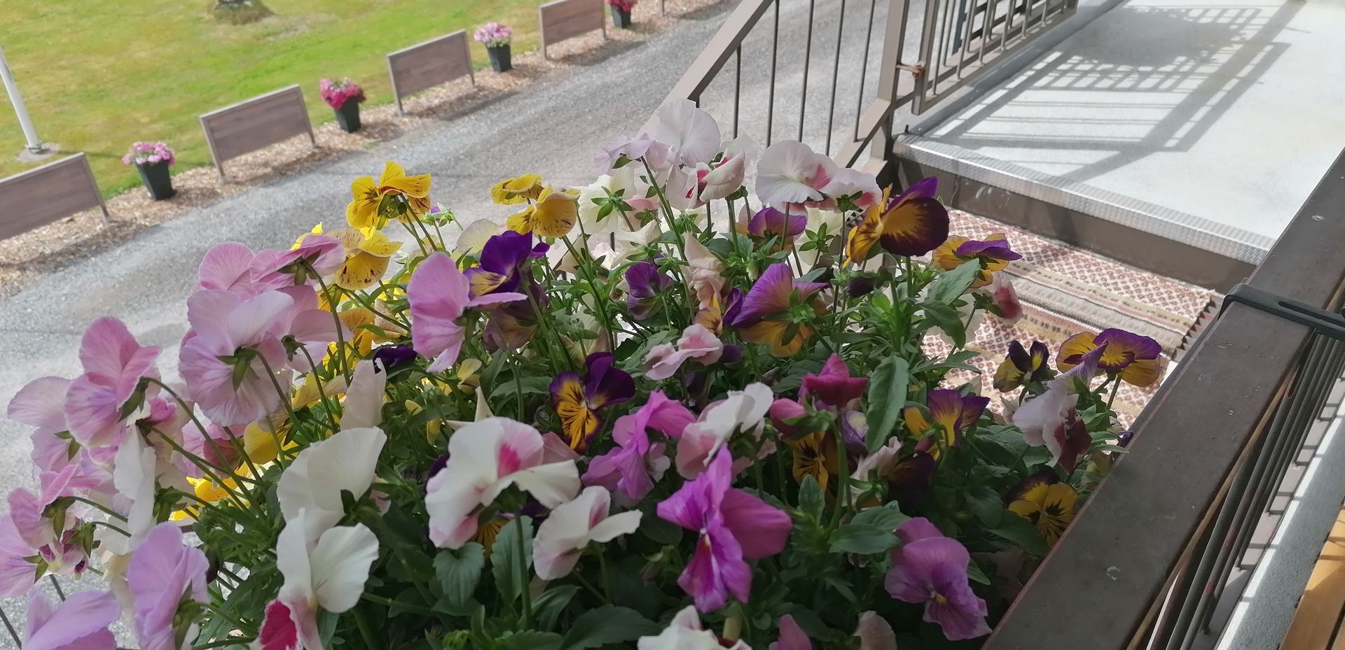 Terassi ja kukkaistutukset – Kulhuan Paakarin saunatilojen piha-alue ja juhlapalvelu