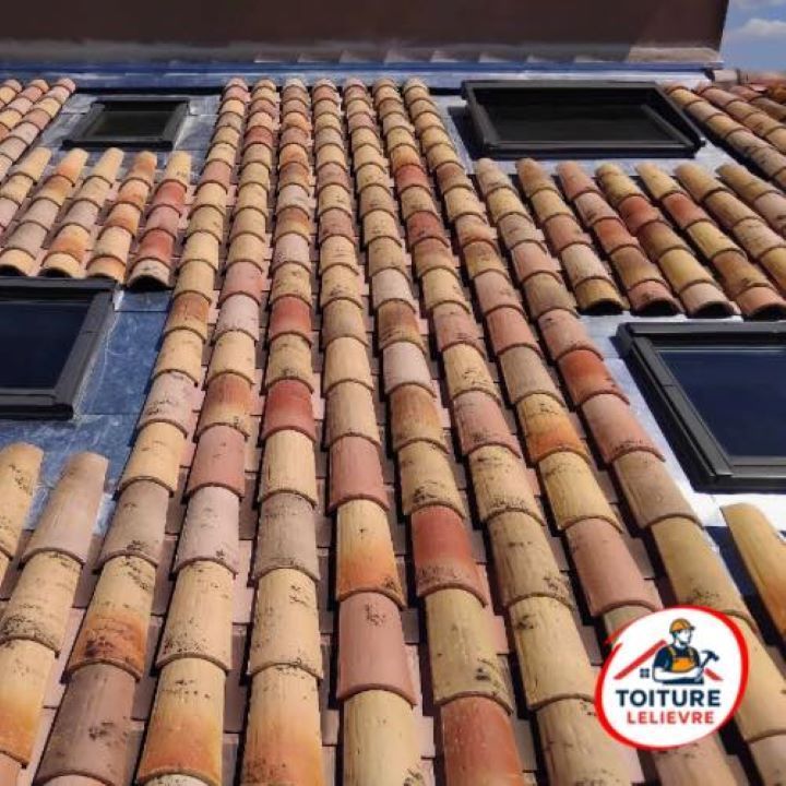 Gros plan sur un toit de tuiles avec plusieurs puits de lumière intégrés, composé de tuiles en terre cuite naturelle.