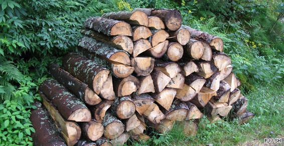 Forchez Bois et Énergie - Vente et achat de bois de chauffage - Loire 