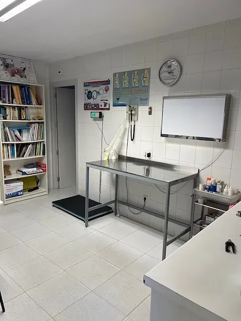 Sala de exploración veterinaria: mesa de acero inoxidable, báscula, estantería, pizarra, baldosas blancas.
