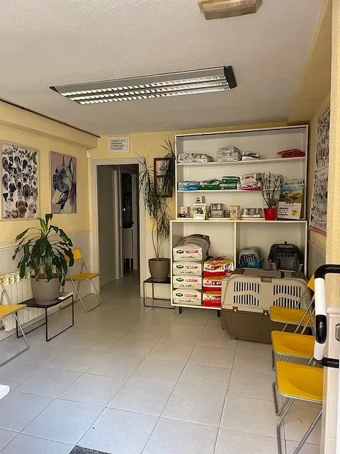 Sala de espera de clínica veterinaria: paredes amarillas, suelo de baldosas, estanterías con suministros para mascotas, sillas, plantas.