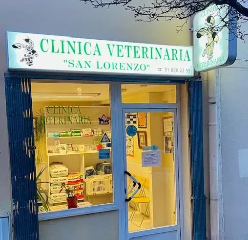 Clínica veterinaria “San Lorenzo” con cartel luminoso y escaparate de artículos para mascotas.