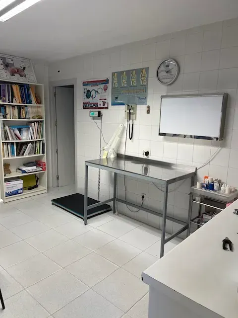 Consultorio veterinario: mesa de acero inoxidable, báscula, estantería, paredes blancas y pizarra blanca.