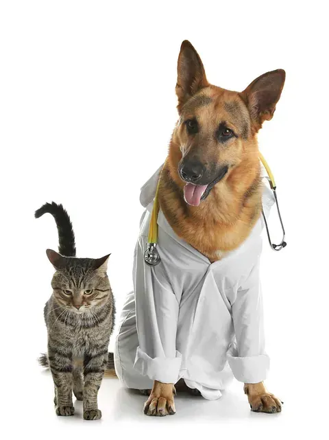 Un perro y un gato están disfrazados de médicos.