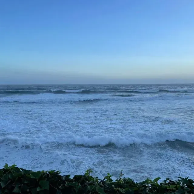 Una gran masa de agua con olas rompiendo en la orilla.