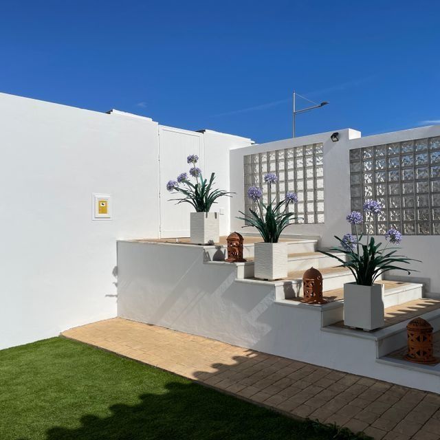 Un conjunto de escaleras con plantas en macetas.