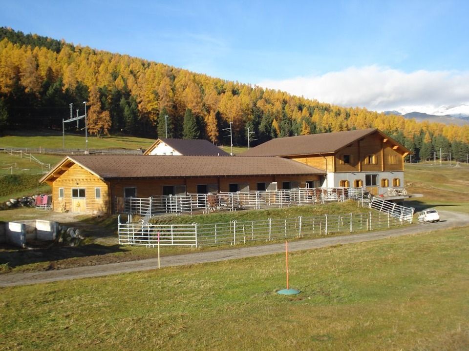 Hofgelände, Foto vom Kutschenbetrieb H. Riedberger