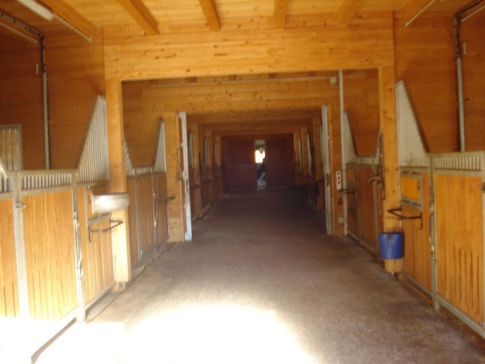 Stall, Foto vom Kutschenbetrieb H. Riedberger