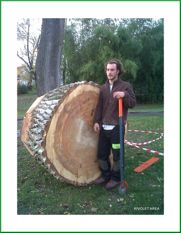 Bûcheron avec une hache