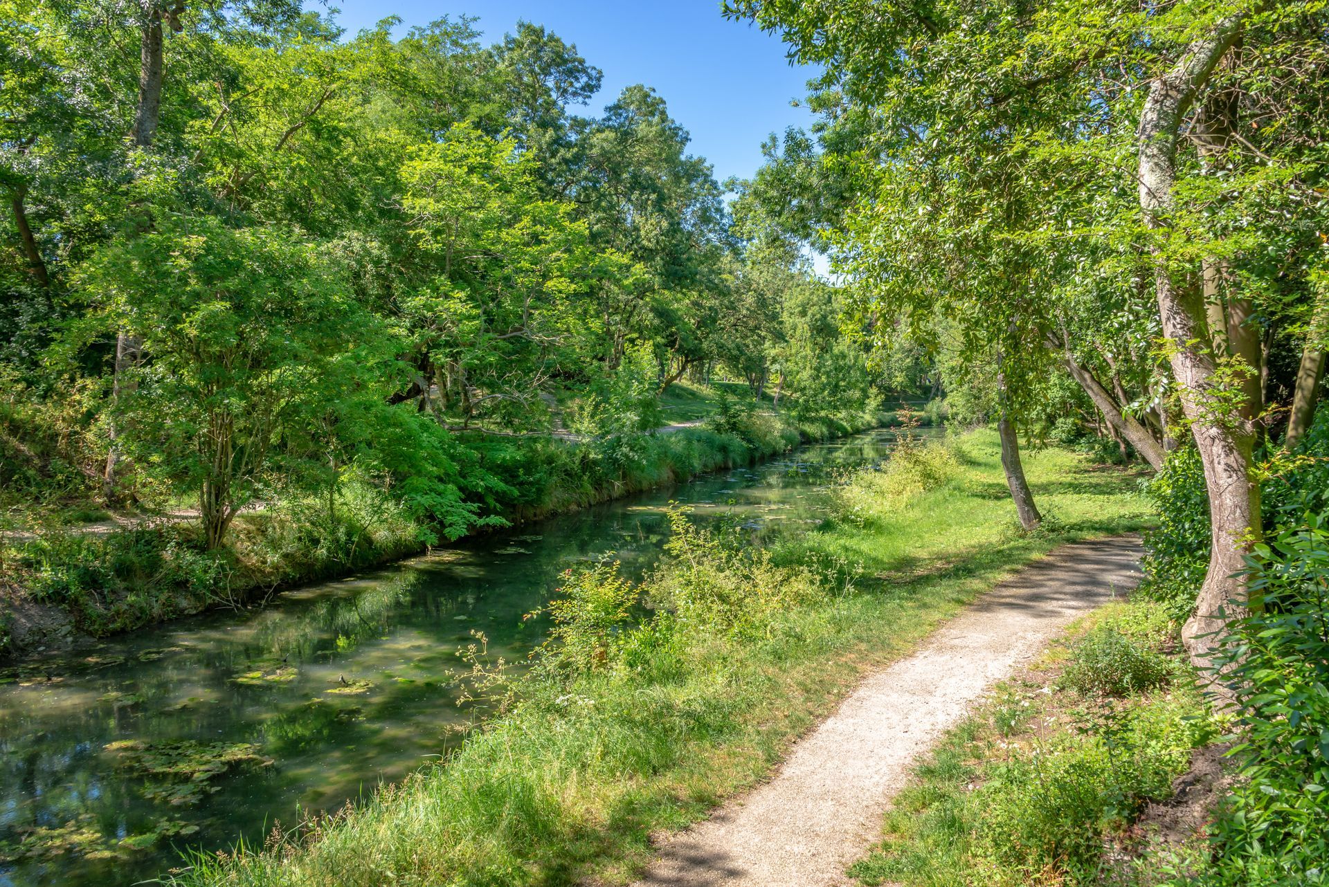 Allée dans un jardin vert