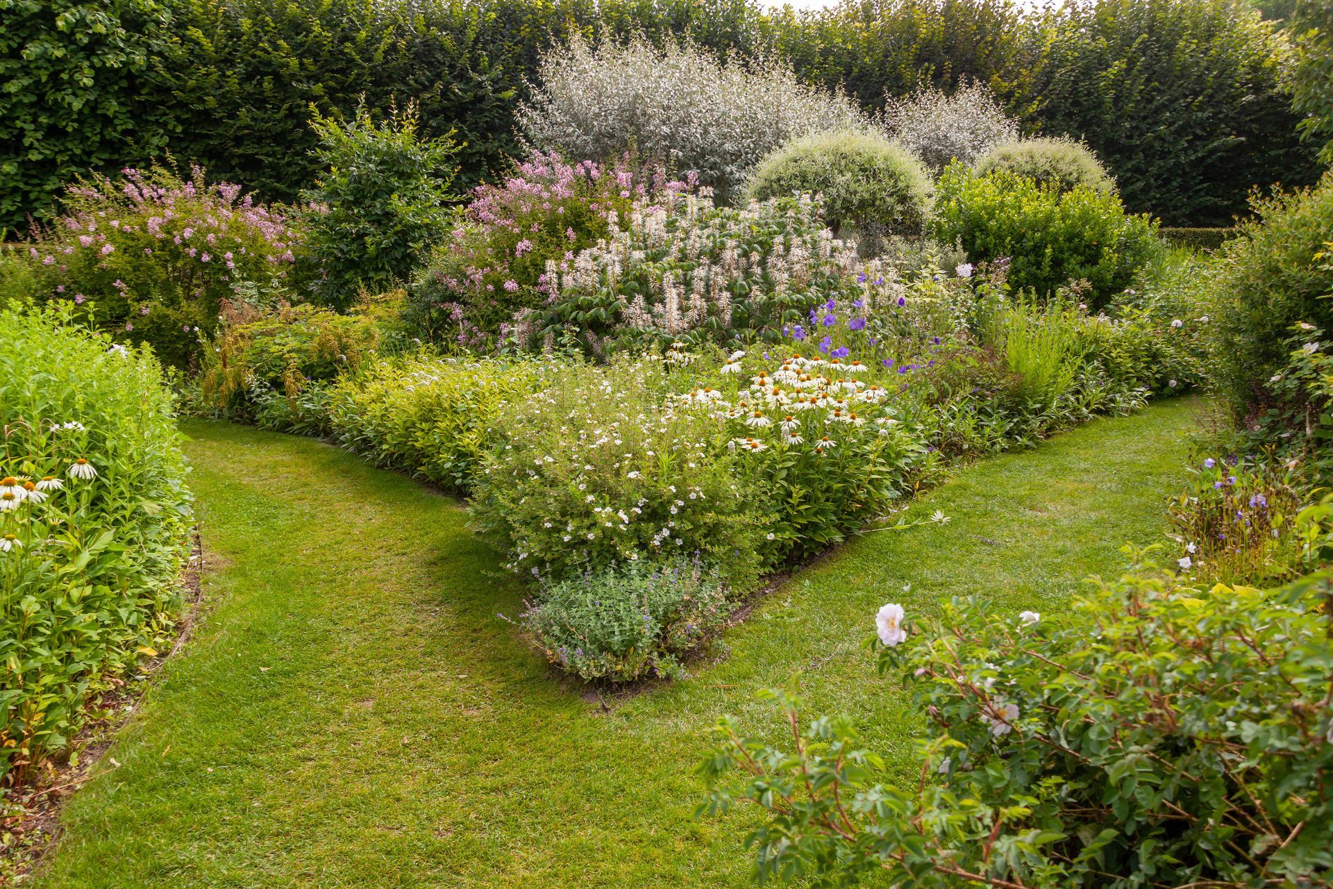 Allée dans un jardin vert