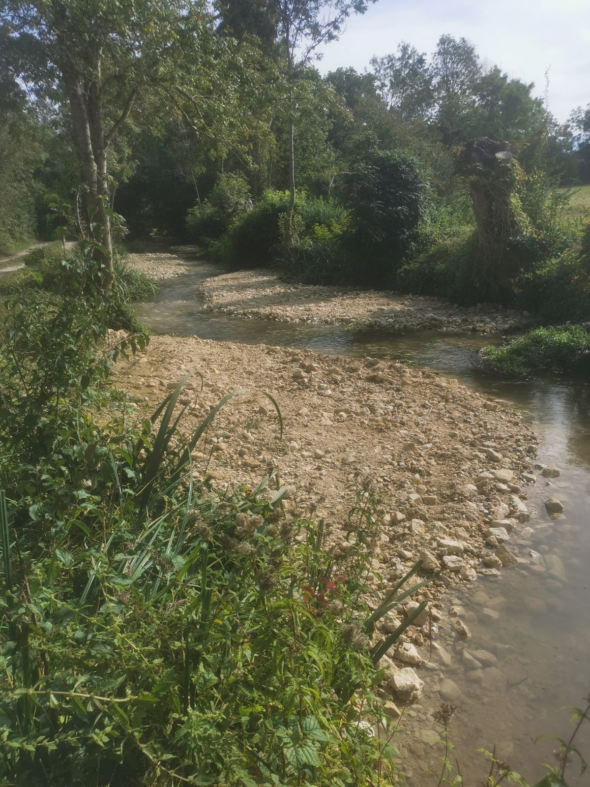 Petite plage de pierre le long d'un cours d'eau