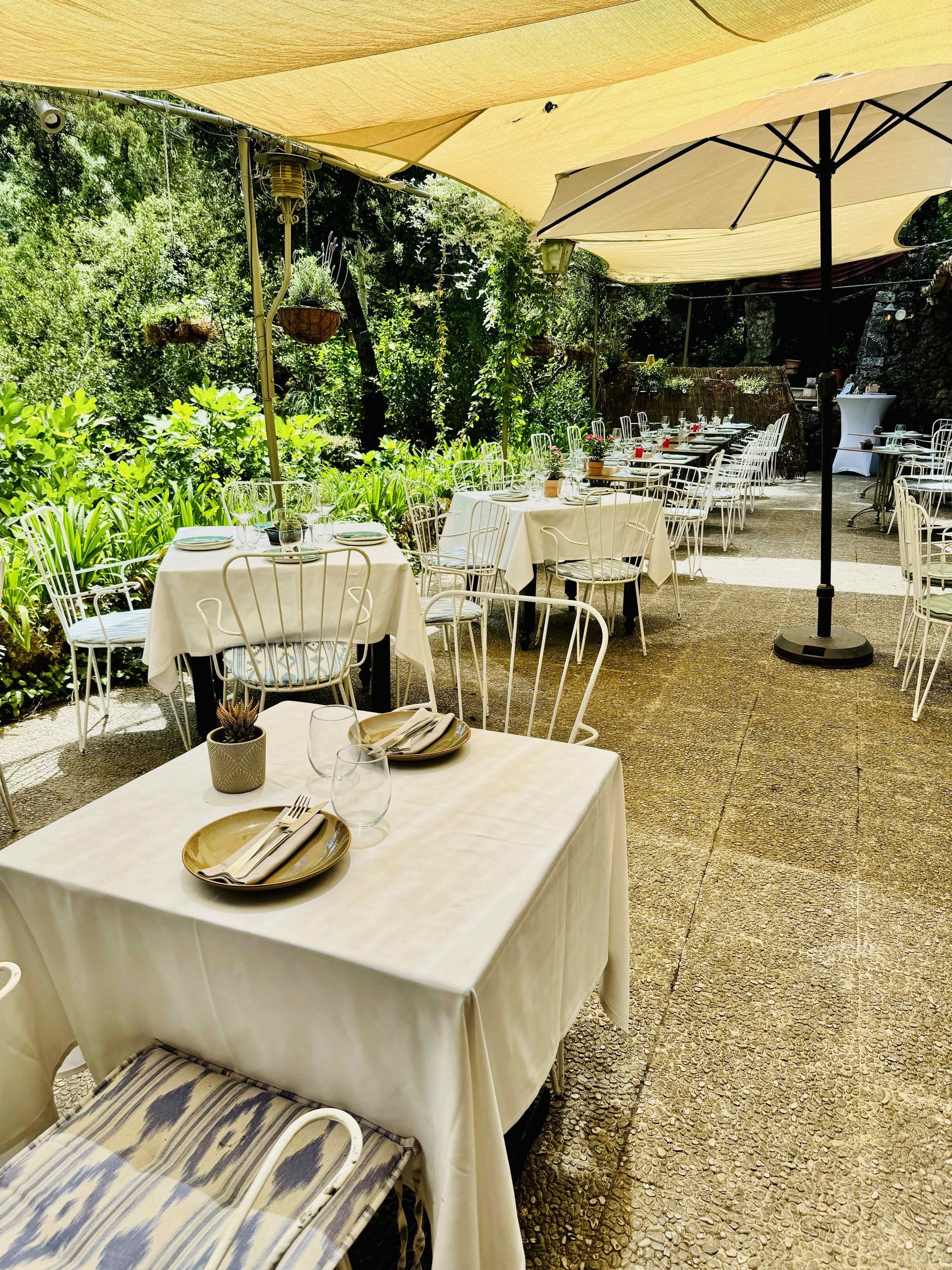 Un patio con mesas y sillas bajo sombrillas.