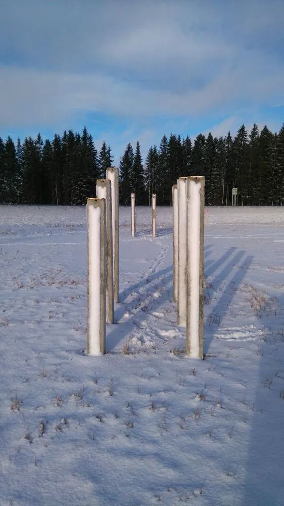 Luminen polku valkoisten pylväiden välissä huurteisella pellolla, taustalla tummia mäntyjä ja sininen taivas