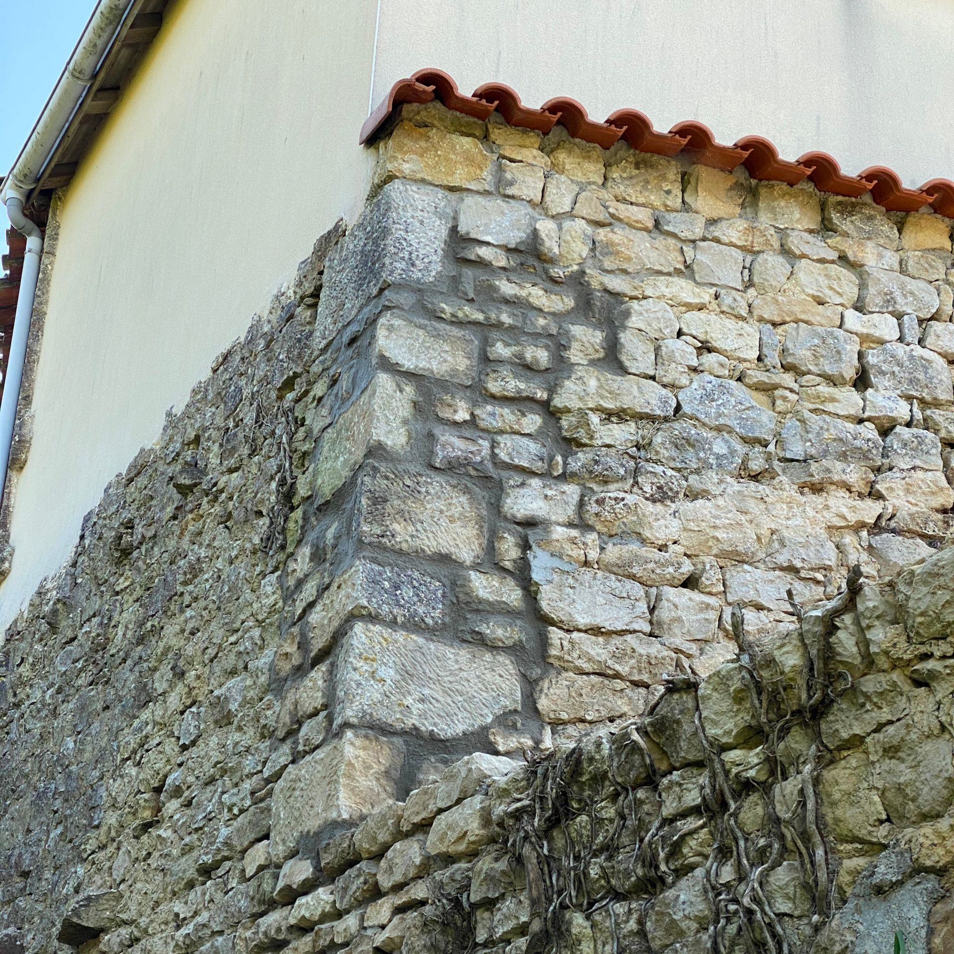 Porte noire vitrée encadrée d'une arche en pierre. Un petit tapis est posé au pied de la porte.