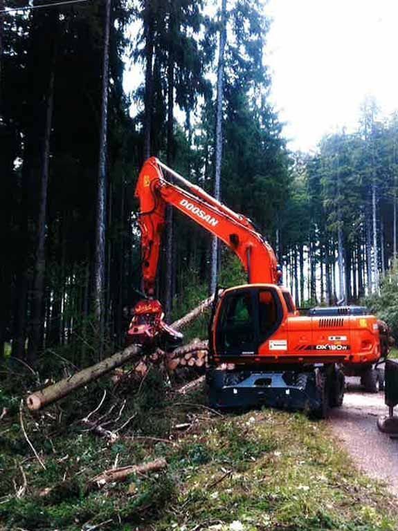 BG Câblage - processeur - Morlon