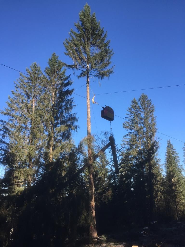 BG Câblage - charge bois - Morlon